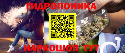 шишки Конаково