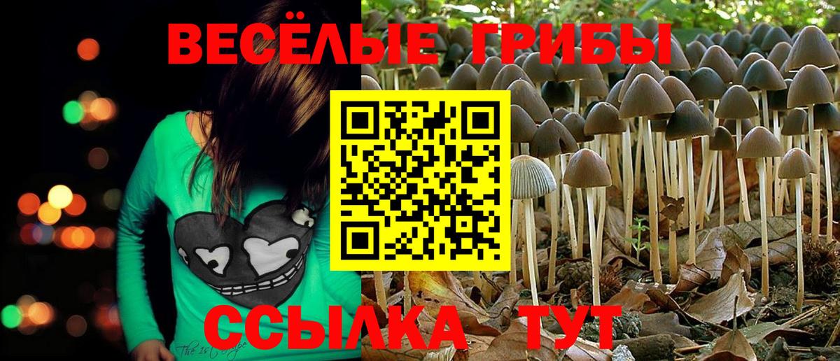 Псилоцибиновые грибы мухоморы Елабуга