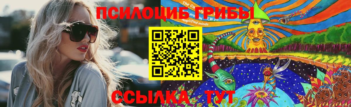 Галлюциногенные грибы GOLDEN TEACHER  Вход с VPN  Галлюциногенные грибы MAGIC MUSHROOMS  Елабуга 